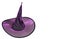 Halloween - Wizard Witch hat decorated with glowing spiderwebs and pointed tip. isolated