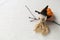 Halloween wooden witch doll