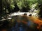 Halls Falls, Pyengana, Tasmania