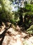 Halls Falls Walking Track, Pyengana, Tasmania