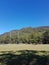 Halls gap football oval