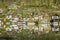 Hallstatt town with traditional wooden houses