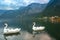 Hallstatter Lake in Alps mountains