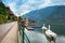 Hallstatter Lake in Alps mountains