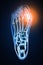 Hallux Valgus or bunion 3D rendering illustration. Superior or dorsal view of accurate human left foot bones with body contours on