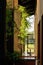 Hallway in a building with a view to exterior, green plant and sunny weather