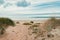 Halmstad West beach, grass at sandy shoreline of Kattegat Sea on overcast summer day. Beautiful scenic landscape from Sweden
