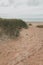 Halmstad West beach, grass at sandy shoreline of Kattegat Sea on overcast summer day. Beautiful scenic landscape from Sweden