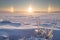 Halo above frozen and snowy lake in Finland