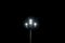 halogen lamp on pole