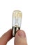 Halogen light bulb used for special domestic appliance installation held in left hand