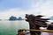 Halong bay Cruise wooden junk South China Sea Vietnam. Site Asia