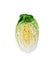 Halved chinese cabbage, clean crossection