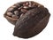 Halved cocoa pod with whole fermented cacao beans (Theobroma cacao fruit) isolated