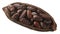 Halved cocoa pod with whole fermented cacao beans (Theobroma cacao fruit w seeds) isolated  top view