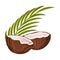 Halved Coconut with Hard Shell and Fibrous Husk and Pinnate Leaf Vector Illustration