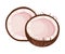 Halved Coconut with Hard Shell and Fibrous Husk Showing White Inner Flesh Vector Illustration