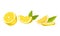 Halved Lemon Citrus Fruit with Green Leaf Vector Set