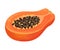 Halved Papaya Fruit Showing Orange Flesh and Numerous Black Seeds Vector Illustration