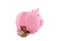 Halved pink piggy bank with coins on white background