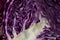 Halved purple cabbage