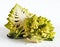 A halved Romanesco broccoli on a white background