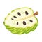 Halved Soursop Fruit or Guanabana with Dark Green Rind Covered with Thick Thorns Vector Illustration