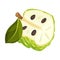 Halved Soursop Fruit or Guanabana with Dark Green Rind Covered with Thick Thorns Vector Illustration