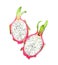 Halves of delicious ripe dragon fruit pitahaya on background, top view