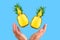 halves of fresh juicy pineapple flying into female hands isolated on a blue background