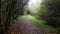 Halwill Junction Disused Railway line footpath Devon