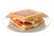 Ham and cheese panini sandwich