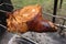 Ham grilled on fire outdoor garden, pork meat