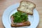 Ham Salad sandwich on brown butter bread, lunch, snack