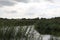 Ham Wall Nature Reserve, Somerset Wetlands, UK