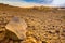 Hamada desert Sahara in Morocco