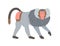 Hamadryas baboon standing on four legs. Silvery gray monkey with hairy cape on neck, bare feet and red-colored skin on