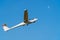 Hamburg, Germany - Februar 9, 2018: Two white gliders flying in clear blue sky