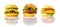 Hamburger, Cheeseburger and Chicken burger on White Background