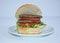 hamburger double patty with lettuce and tomato on plate