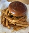 Hamburger and French Fry Blue-plate Special