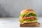 Hamburger with ham, tomato and lettuce, selective focus. Side view, copy space. Junk fast food, snack