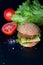 Hamburger with salad, tomato, meat on black backdrop