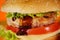 Hamburger or sandwich. Delicious sandwich hamburger with meat, cheese and fresh vegetable. Hamburger or sandwich is the