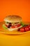 Hamburger or sandwich. Delicious sandwich hamburger with meat, cheese and fresh vegetable. Hamburger or sandwich is the