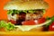 Hamburger or sandwich. Delicious sandwich hamburger with meat, cheese and fresh vegetable. Hamburger or sandwich is the