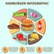 Hamburger sandwich infographic