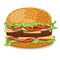 Hamburger with tomato, onions, cucumbers , lettuce , meat pattie