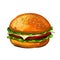 Hamburger vector illustration painted