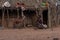 Hamer tribe kid feeding a goat